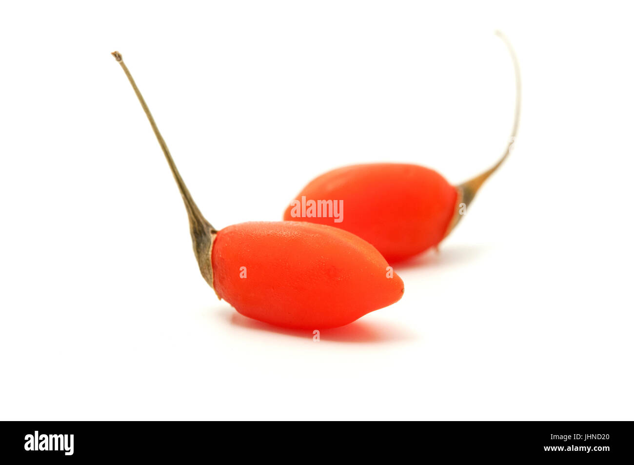 Frische Gojibeeren auf weißem Hintergrund Stockfoto