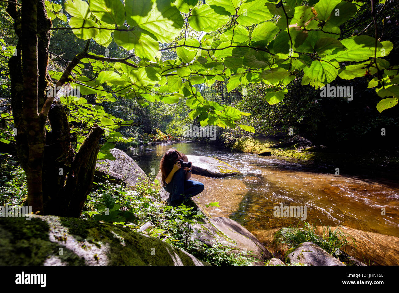 Fotograf bei Davidson River im Pisgah National Forest - nahe Brevard, North Carolina, USA Stockfoto