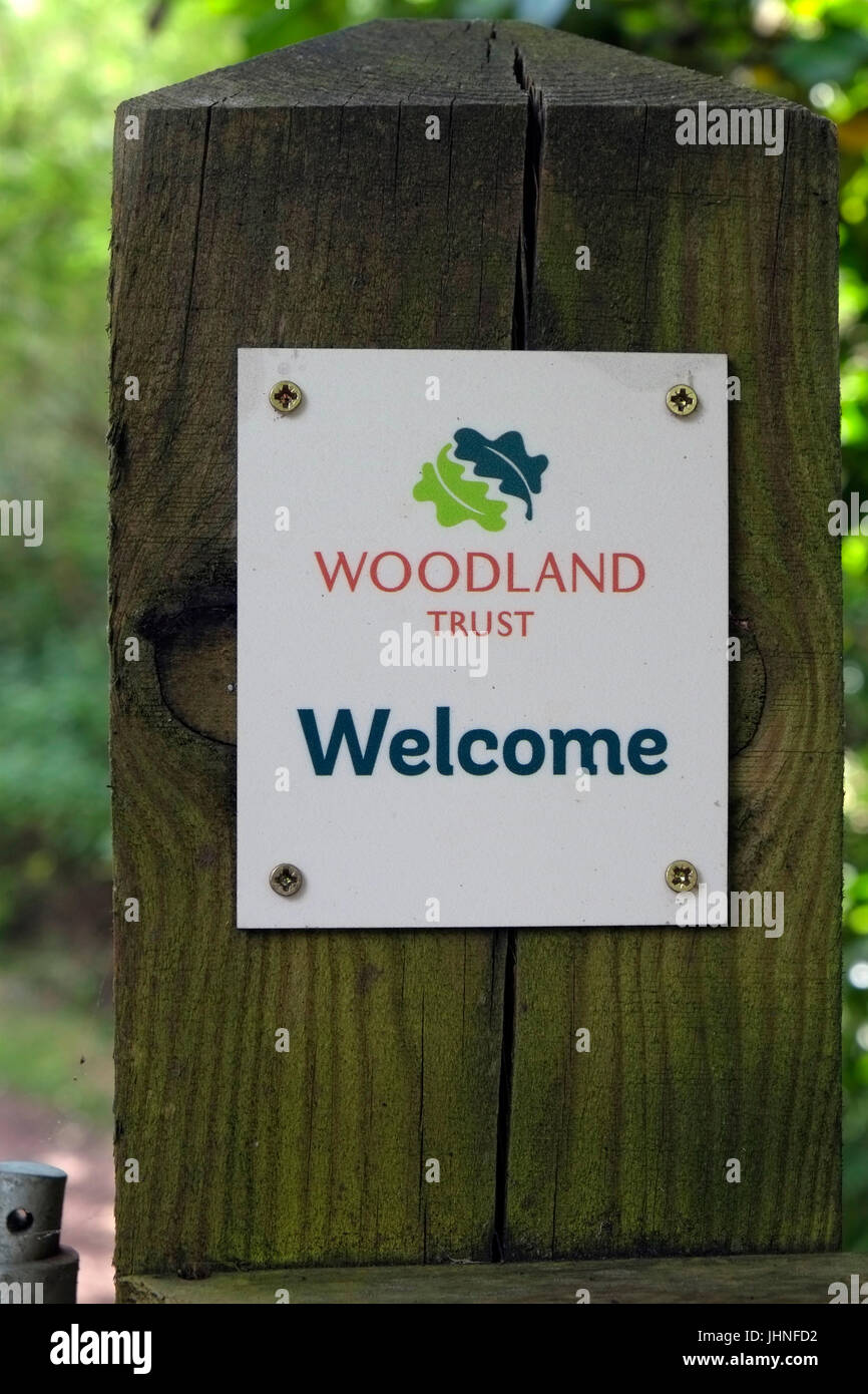 Woodland Trust Zeichen auf das Tor am Eingang zum Wald. Stockfoto