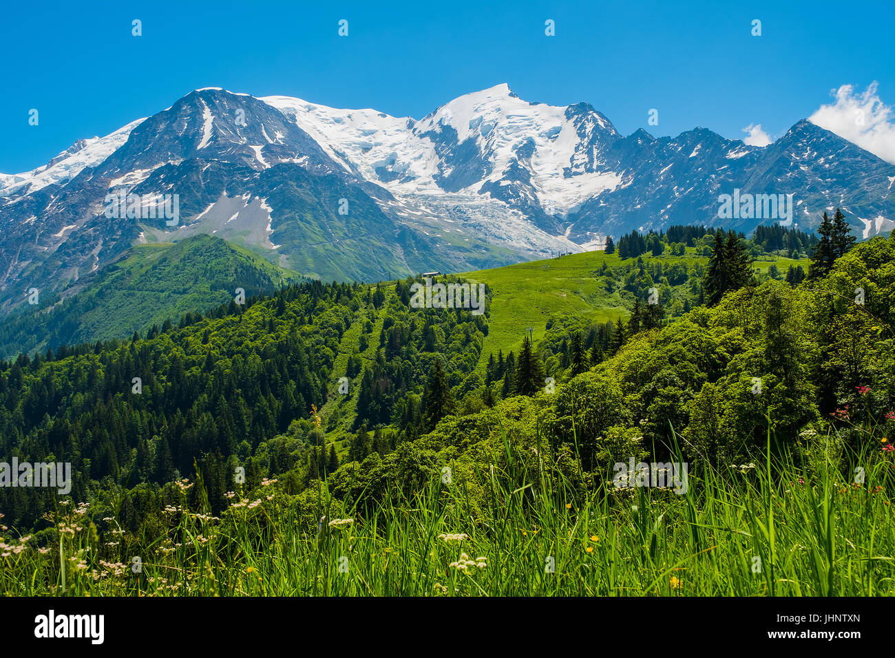 Panorama der Mont Blanc vom Col du Voza, Les Houches, Frankreich Stockfoto