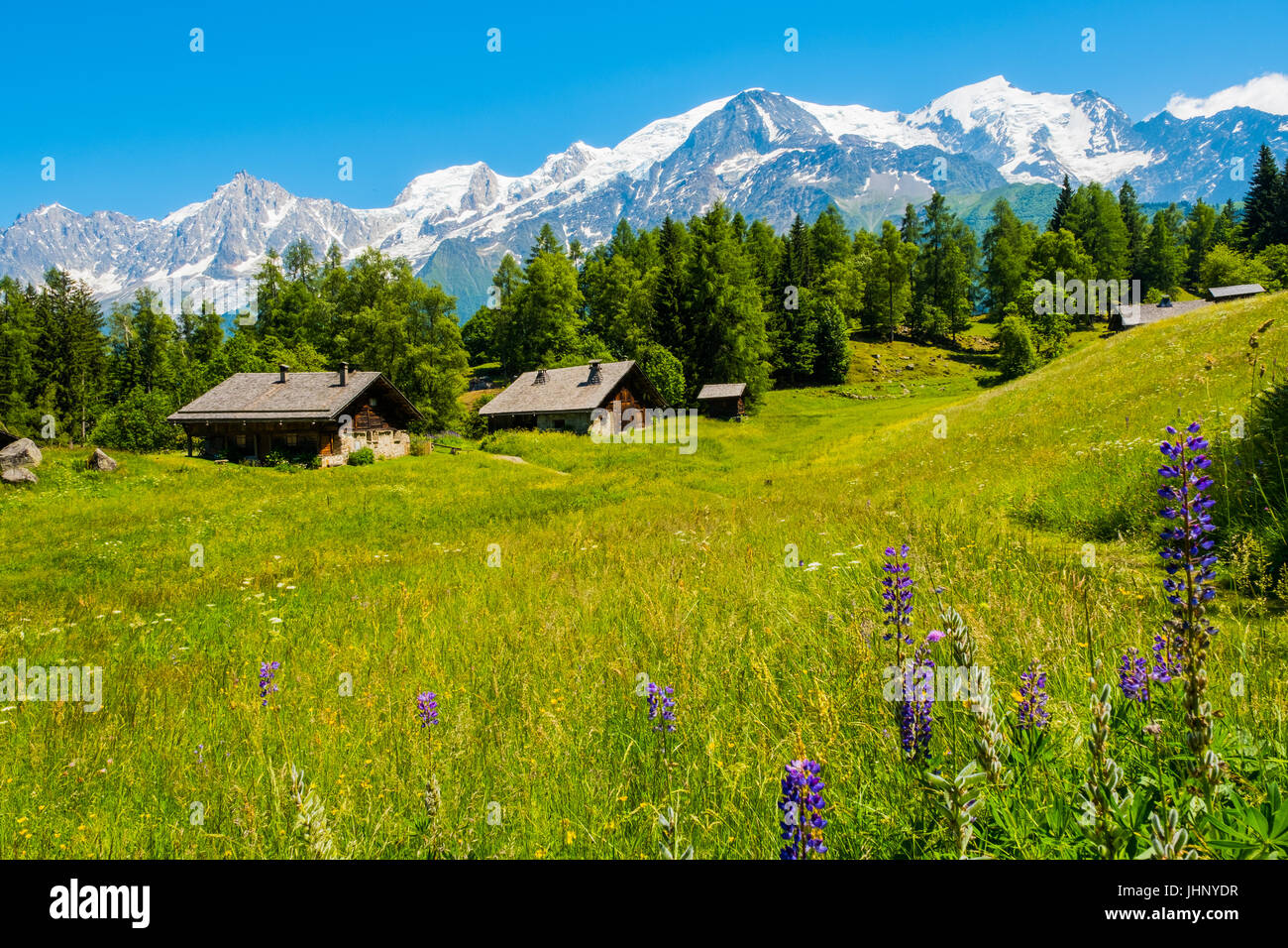 Blick auf den Mont Blanc aus Charousse, Les Houches, Frankreich Stockfoto