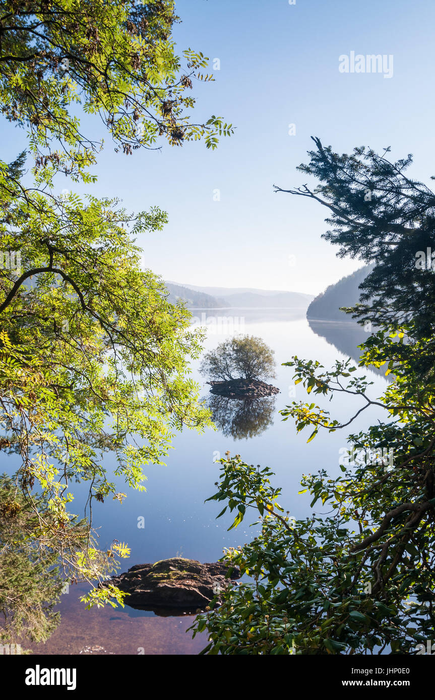 Eine kleine Insel mit einzelnen Baum in Lake Vyrnwy an einem sonnigen Herbstnachmittag, Wales Stockfoto