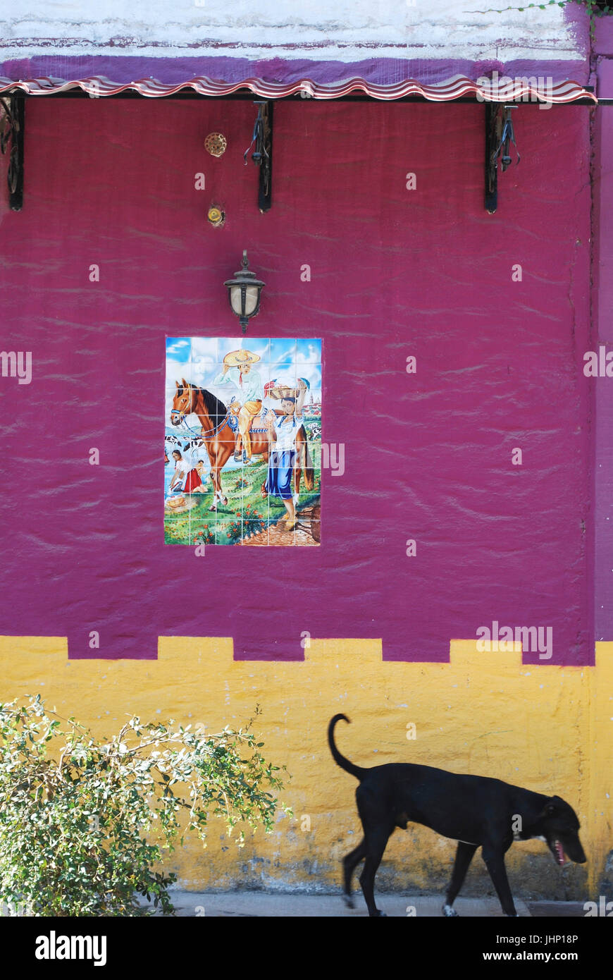 Black Dog übergibt eine buntere bemalte Wand mit einem mexikanischen gefliesten Wandbild, El Tuito, Jalisco, Mexiko Stockfoto