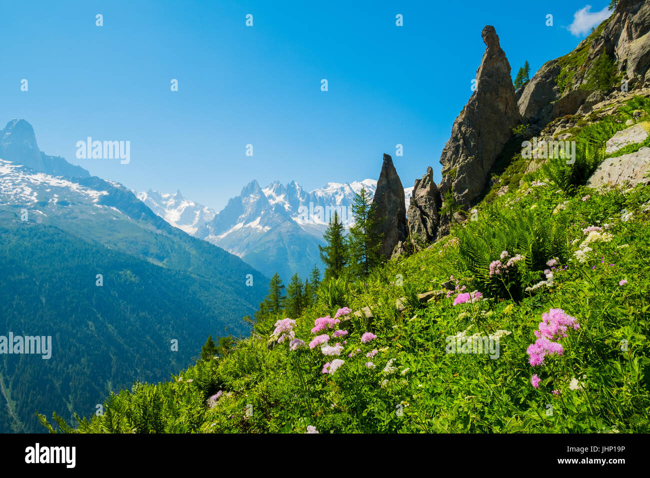 D der Aiguilette Argentiere und Mont-Blanc, Argentiere, Frankreich Stockfoto