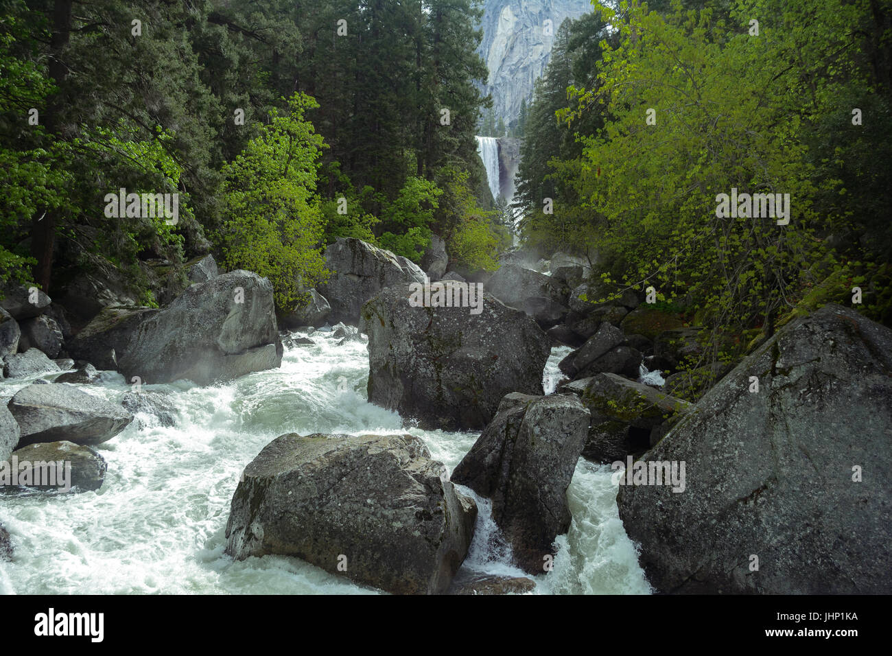 Rauschenden Fluss und Wald mit Vernal Falls im Hintergrund im Yosemite National Park - Fotografie von Paul Toillion Stockfoto