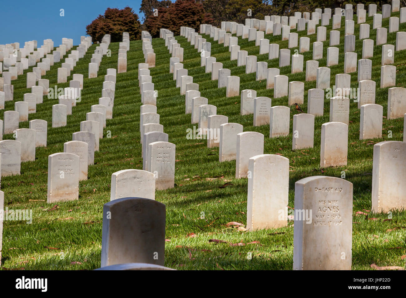 San Francisco-Staatsangehörig-Kirchhof, San Francisco, Kalifornien, USA Stockfoto