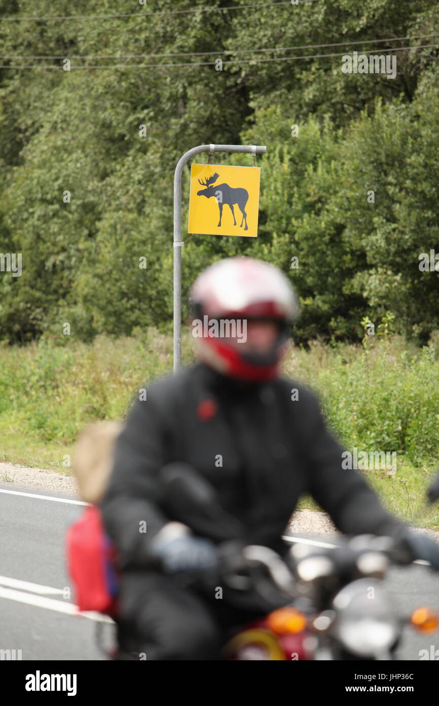 Hinweis auf das Risiko von elk Stockfoto