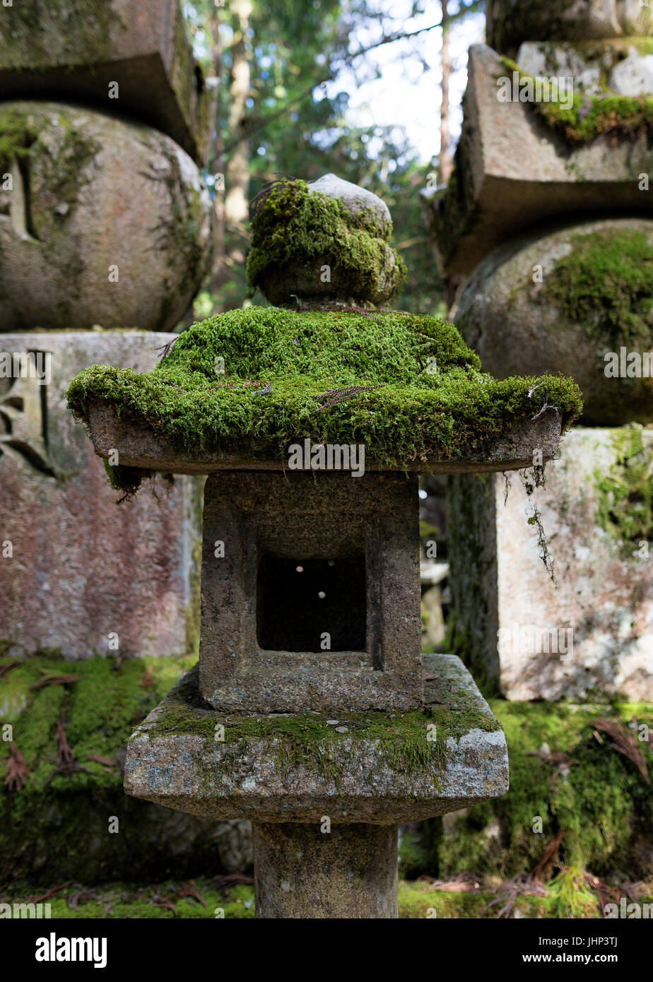 Moos bedeckt japanische Laterne in Koyasan Stockfoto