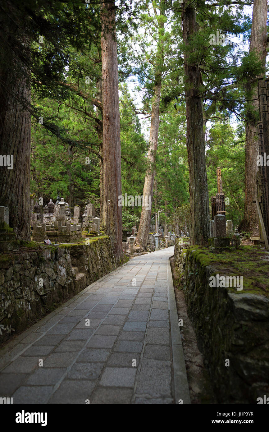 Ein Weg durch den Okunoin alten buddhistischen Friedhof in Koyasan, Japan, Asien Stockfoto