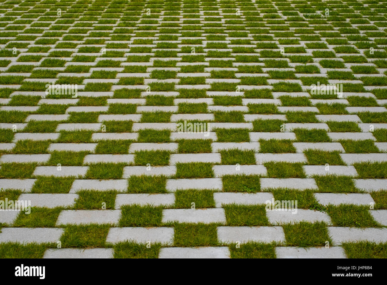 Gras- und gepflasterten Gehweg - karierten Boden Stockfoto