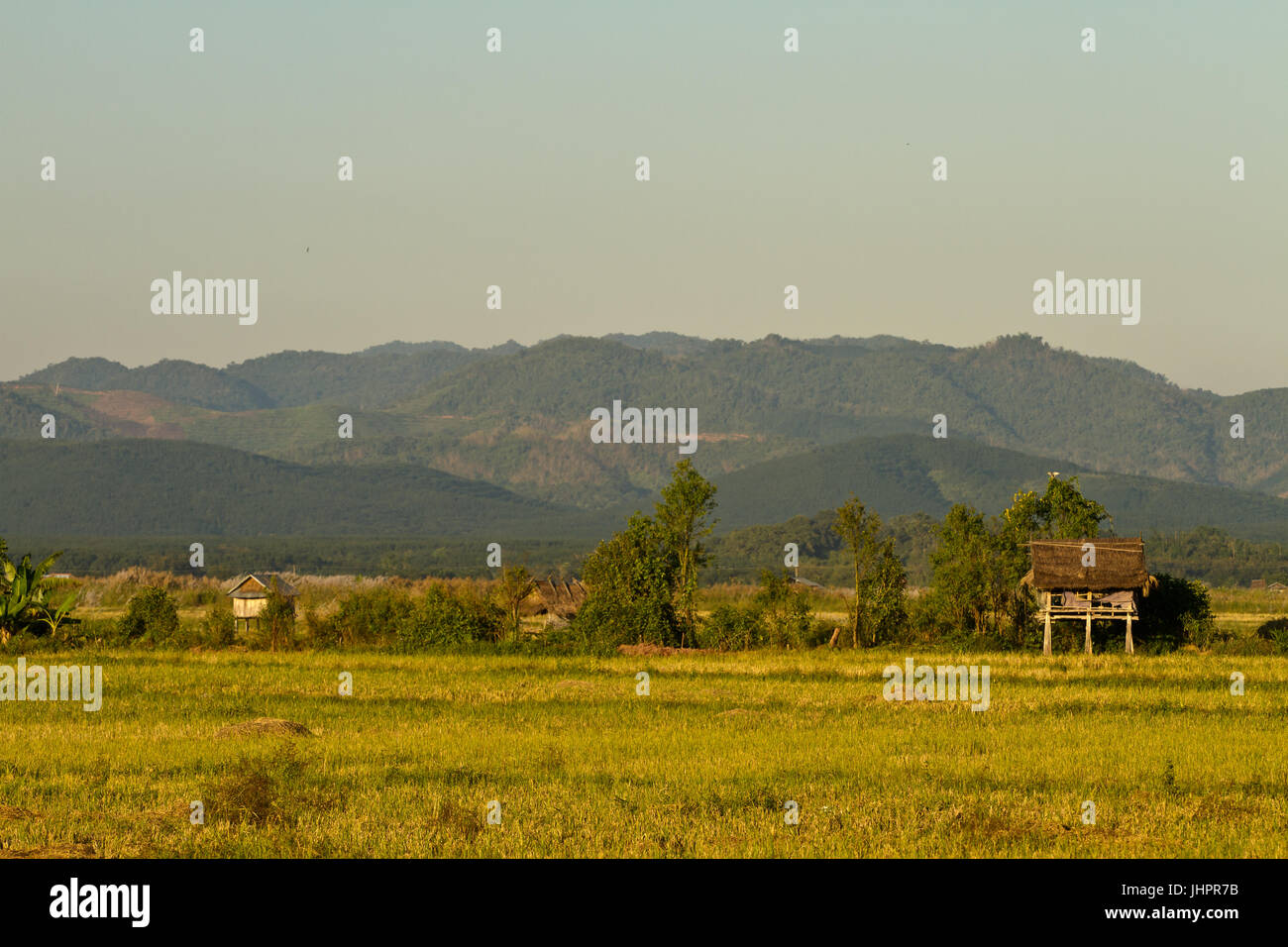 Umgebung von Muang Sing, Laos Stockfoto