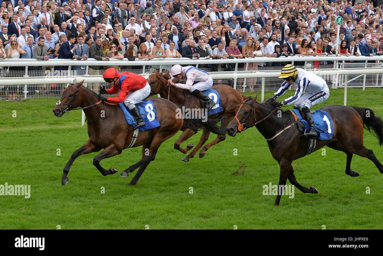 Nehmen Sie Abdeckung von David Allan geritten gewinnt der John Smith City Wall Einsätze tagsüber zwei von John Smiths Cup Meeting in York Racecourse. Stockfoto