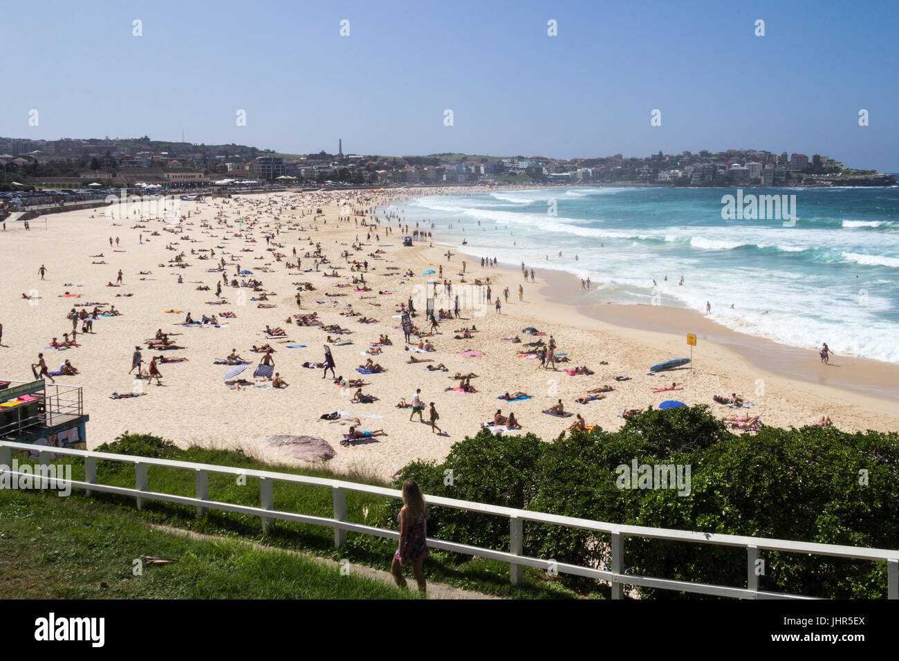 Bondi Beach an einem sonnigen Sommertag, Sydney, New South Wales, Australien Stockfoto