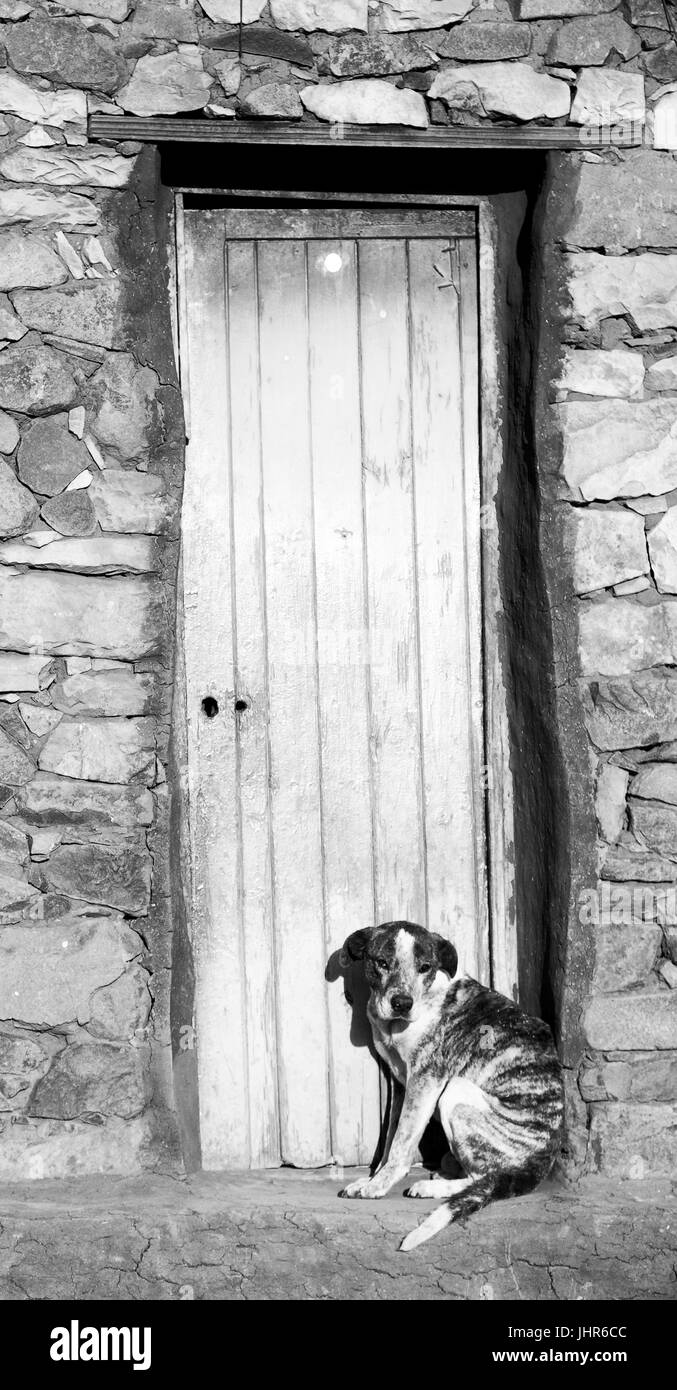 in der Nähe ein Haus des Hundes alleine warten Stockfoto