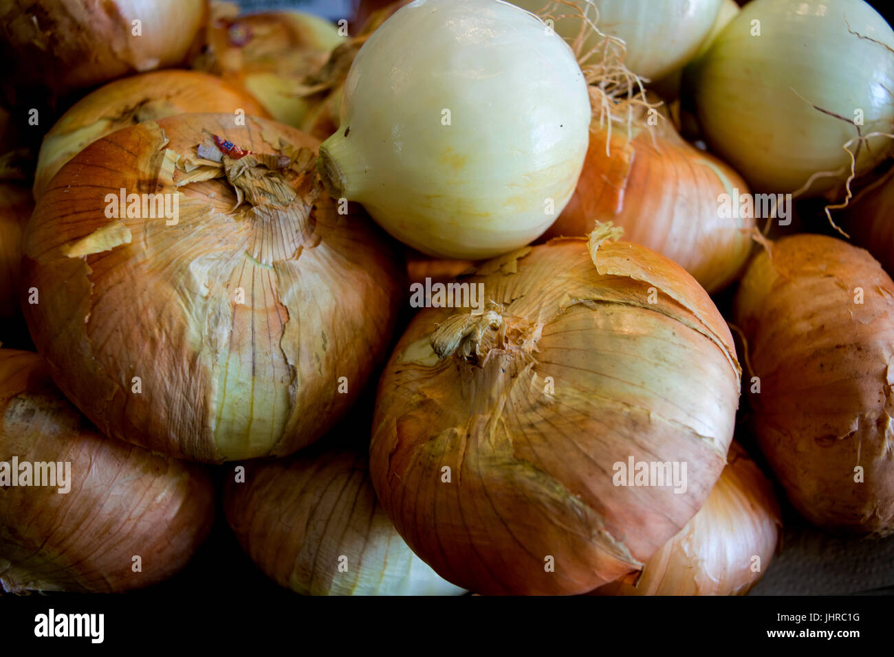 Nahaufnahme von Zwiebeln auf einem Bauernmarkt. Stockfoto