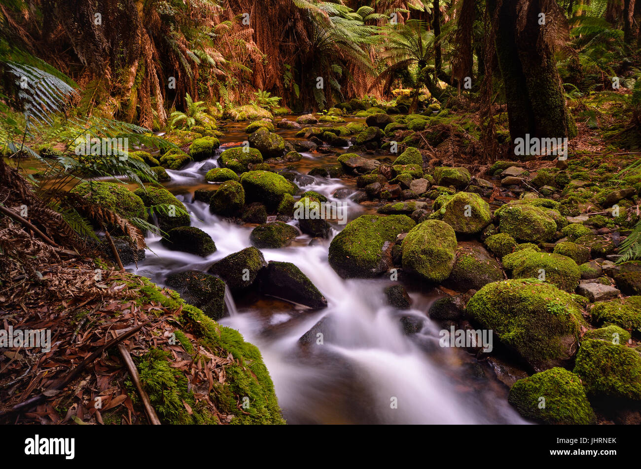 Heitere langsam fließende Strom in einem Regenwald in Tasmanien, Australien. Mit Mossfileed Felsen und umliegenden Bäume. Stockfoto
