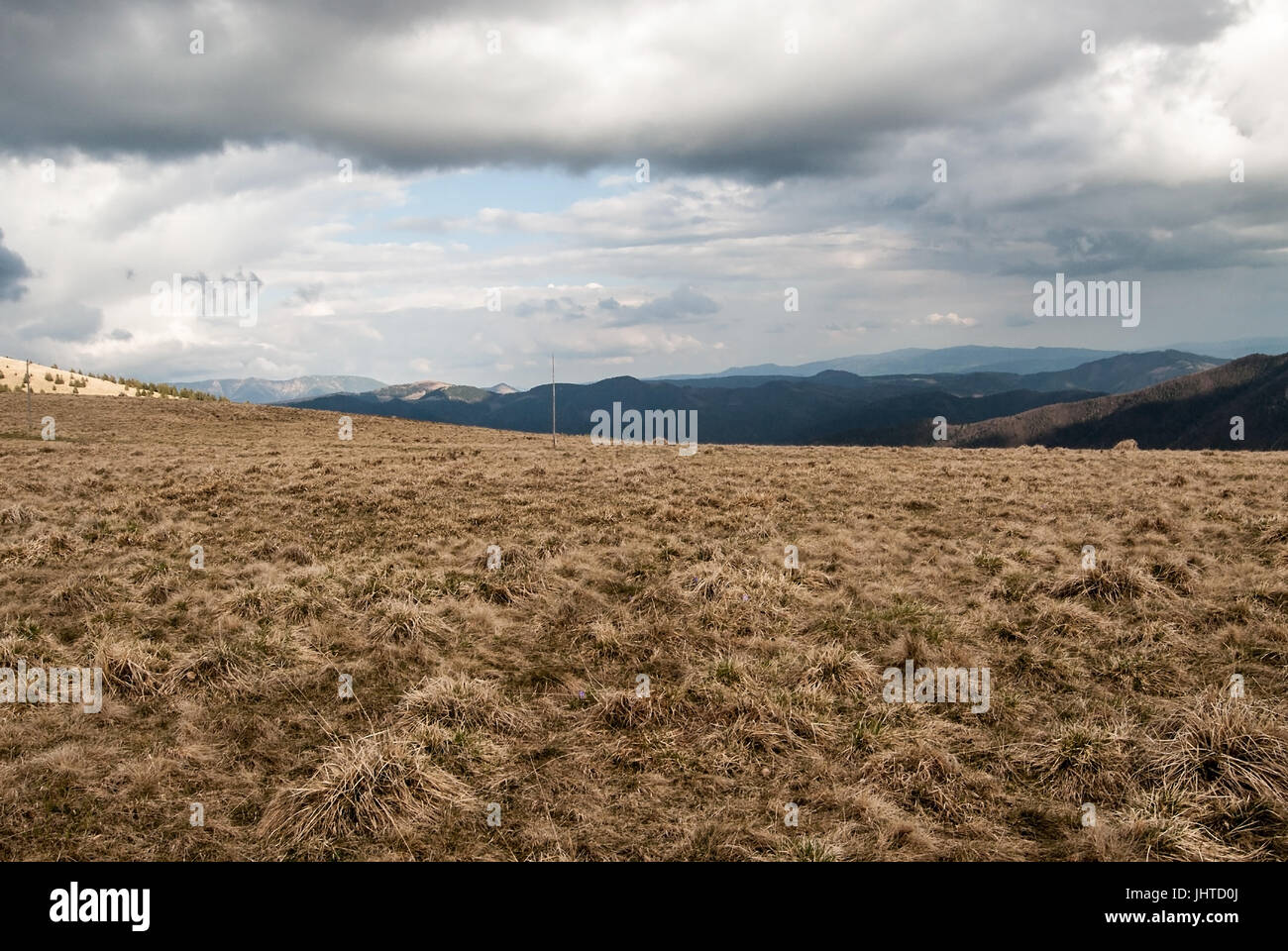 Frühling-Bergwiese mit Hügeln im Hintergrund und blauer Himmel mit Wolken in Velka Fatra Gebirge in der Slowakei Stockfoto