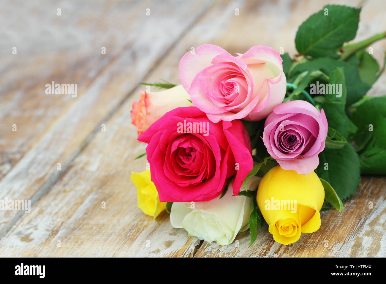 Bunte Rosen auf rustikalen Holzoberfläche mit Textfreiraum Stockfoto