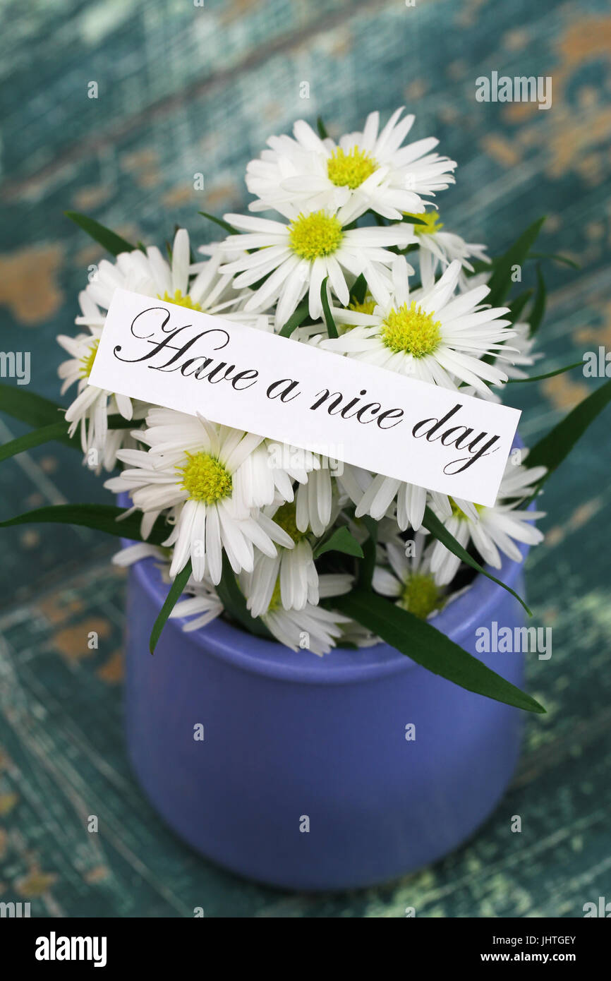 Haben Sie eine schönen Tag-Karte mit Kamillenblüten in blauer vase Stockfoto