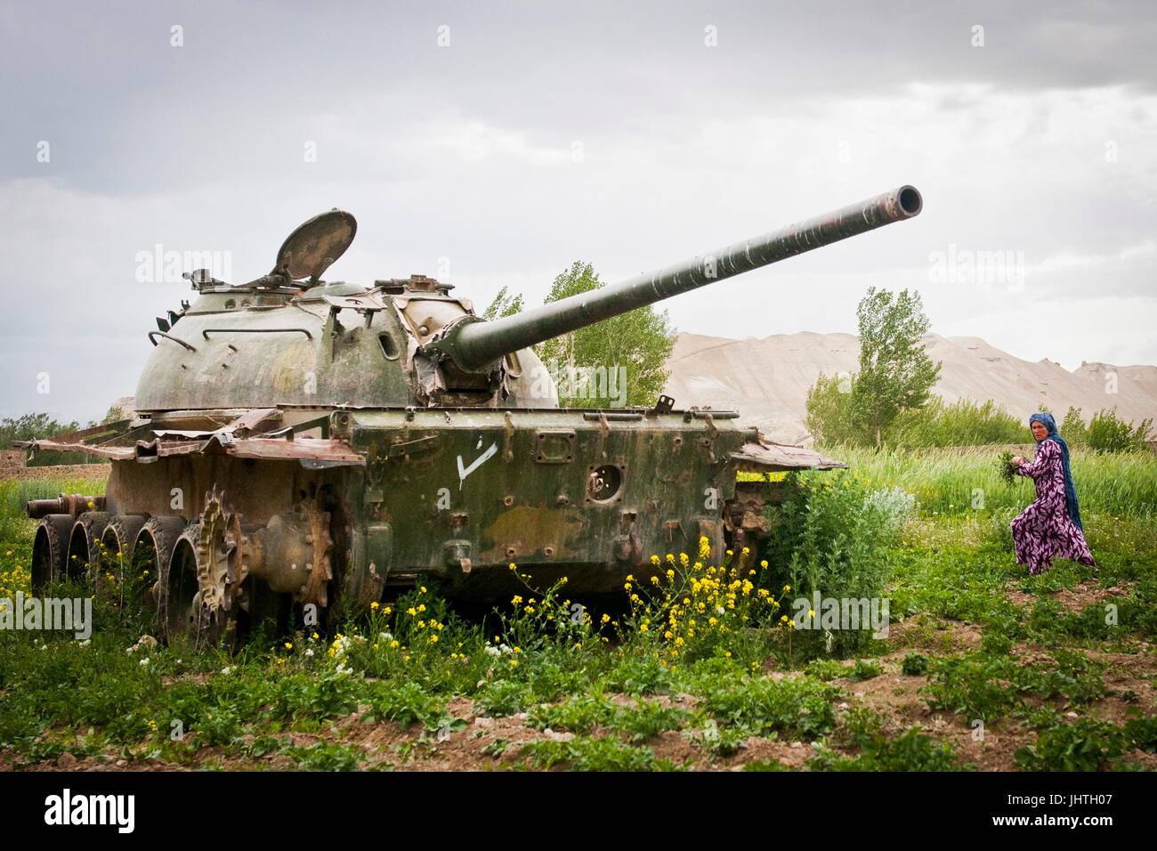 Eine afghanische Frau zieht Unkraut in einem Kartoffelfeld durch einen alten verrosteten russischer Militärpanzer im Bamiyan-Tal hinter sich gelassen aus dem Krieg gegen die Sowjetunion 16. Juni 2012 in Bamyan Provinz, Afghanistan.    (Foto von Ken Scar über Planetpix) Stockfoto