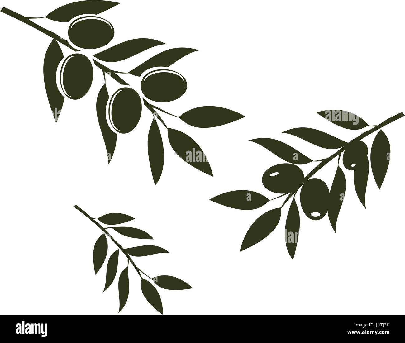Vektor-Illustration von Olivenzweigen isoliert auf weißem Hintergrund Stock Vektor