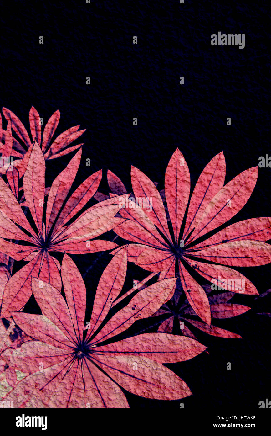 Exotische Pflanzen Hintergrund in Pink und schwarz Stockfoto