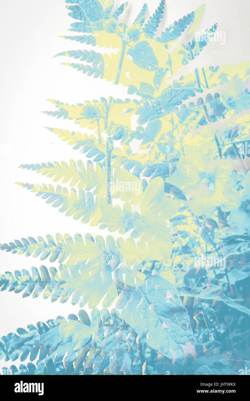 Exotische Pflanzen-Hintergrund Stockfoto