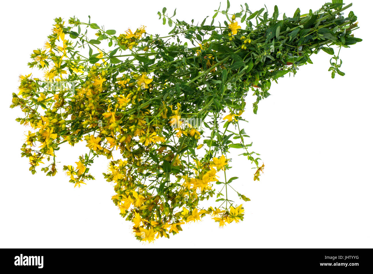 Große Haufen von gelben Johanniskraut Arzneimittel auf weißem Hintergrund. Studio Photo Stockfoto