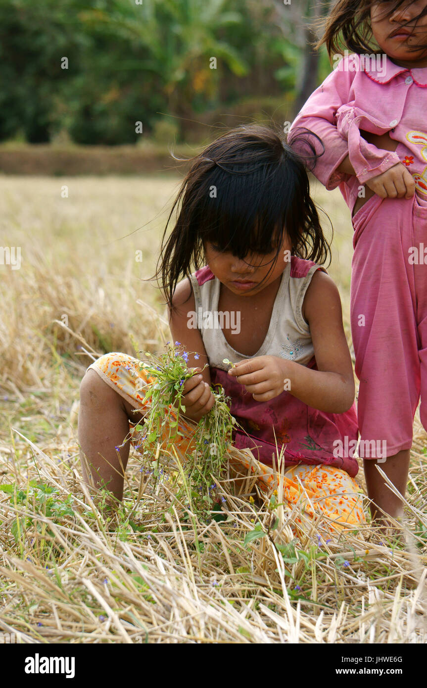 Vietnam, BUON ME THUOT, zwei asiatische Kinder mit hübschen Gesicht Mädchen aussehende Gemüse auf Trockenrasen Wiese, armes Kind bei Wüste Landschaft, Vietnam Stockfoto