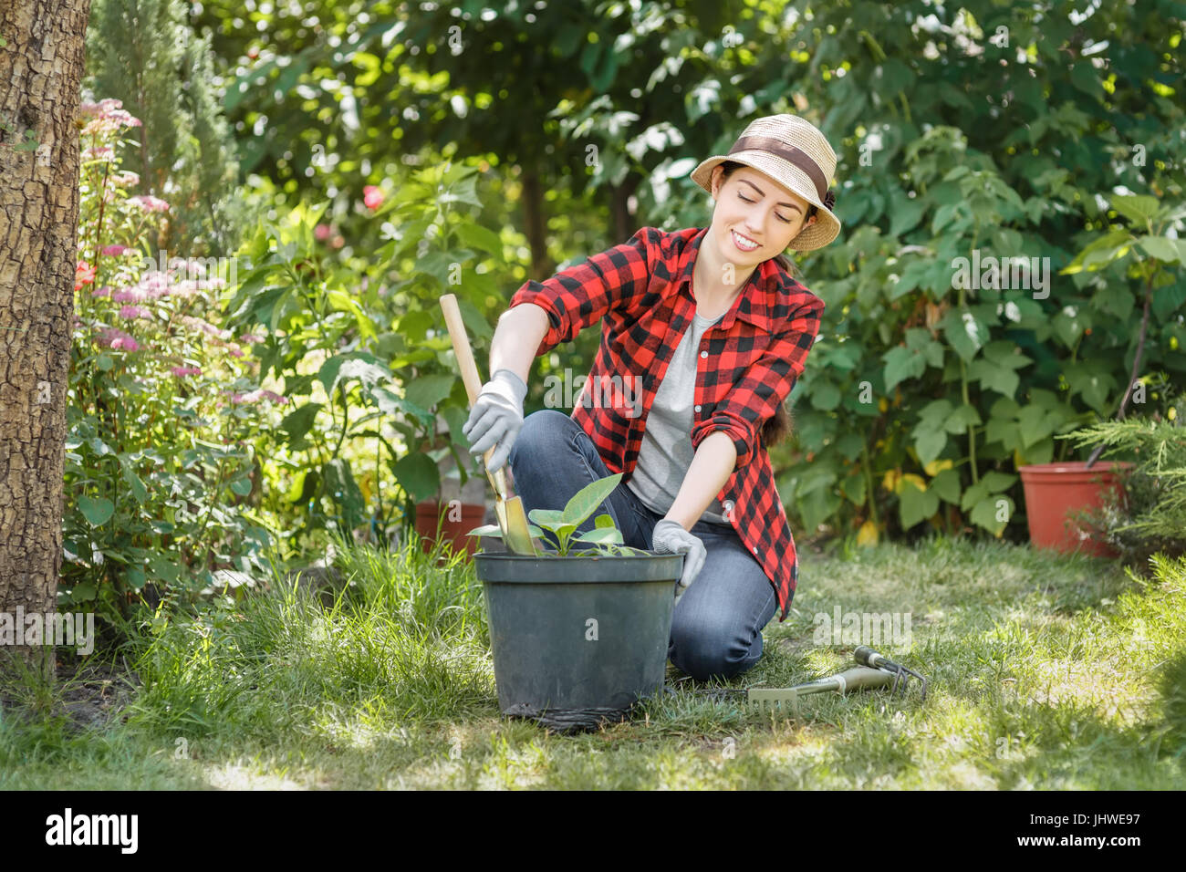 Frau Gärtner Blumen Pflanzen Stockfoto