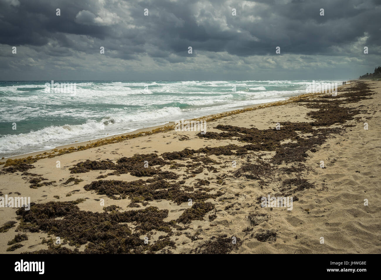 Stürmisches Winterwetter bewegt sich über einem Strand in Palm Beach County, Florida, USA. Stockfoto