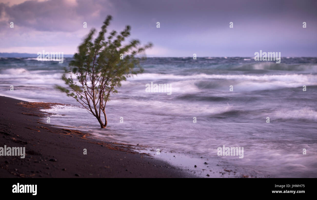 LLanquihue-See / Lago Llanquihue. Fotografías Tomadas ein Las Orillas del Lago LLanquihue de la Región de Los Lagos de Chile. Stockfoto