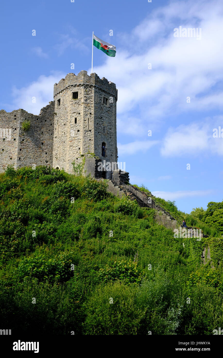 Schloss von Cardiff in Cardiff, Wales, UK Stockfoto