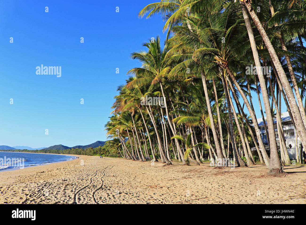 Es ist früh am Morgen an einem oberen Wintertag und alles sieht gut aus am südlichen Ende der wichtigsten Palm Cove Strand erstrecken Stockfoto