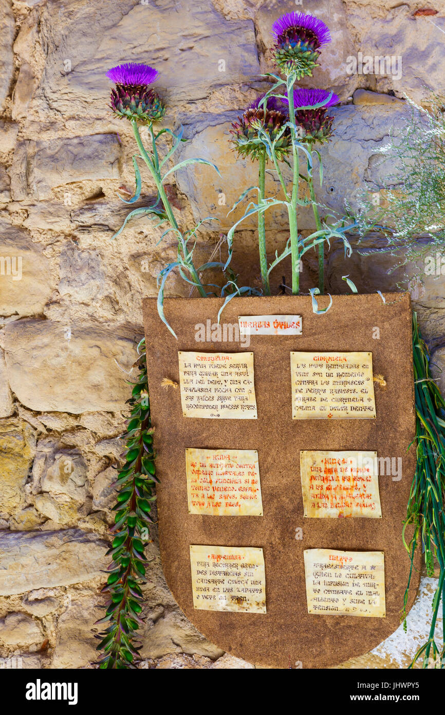 Krauter Zu Hause Heilen Pflanzen Stockfotos Krauter Zu Hause