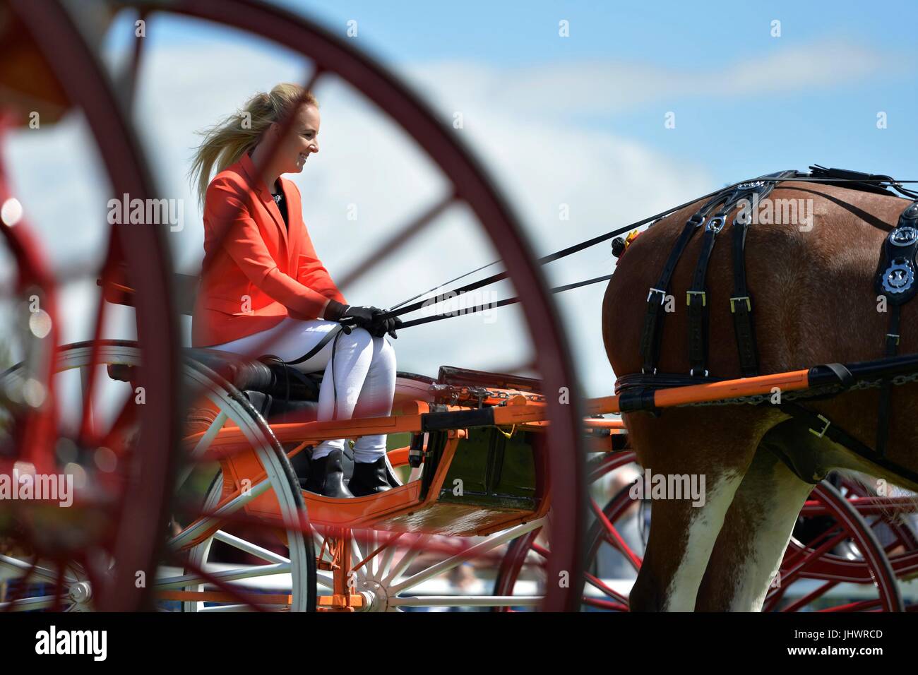 Ein Fahrer wartet auf den Show-Ring auf die schweren Horse Show am National Museum of Rural Life in East Kilbride eingeben. Stockfoto