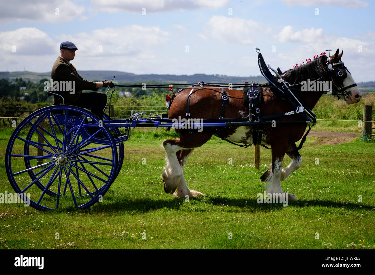 Ein Kandidat bei der Show in der schweren Horse Show am National Museum of Rural Life in East Kilbride. Stockfoto