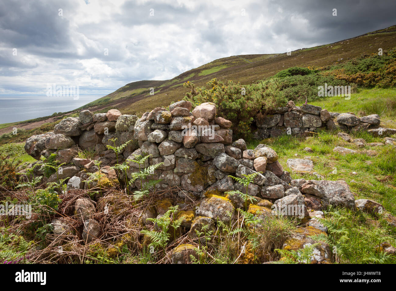 Badbea Clearance Dorf, Caithness Schottland, Vereinigtes Königreich Stockfoto