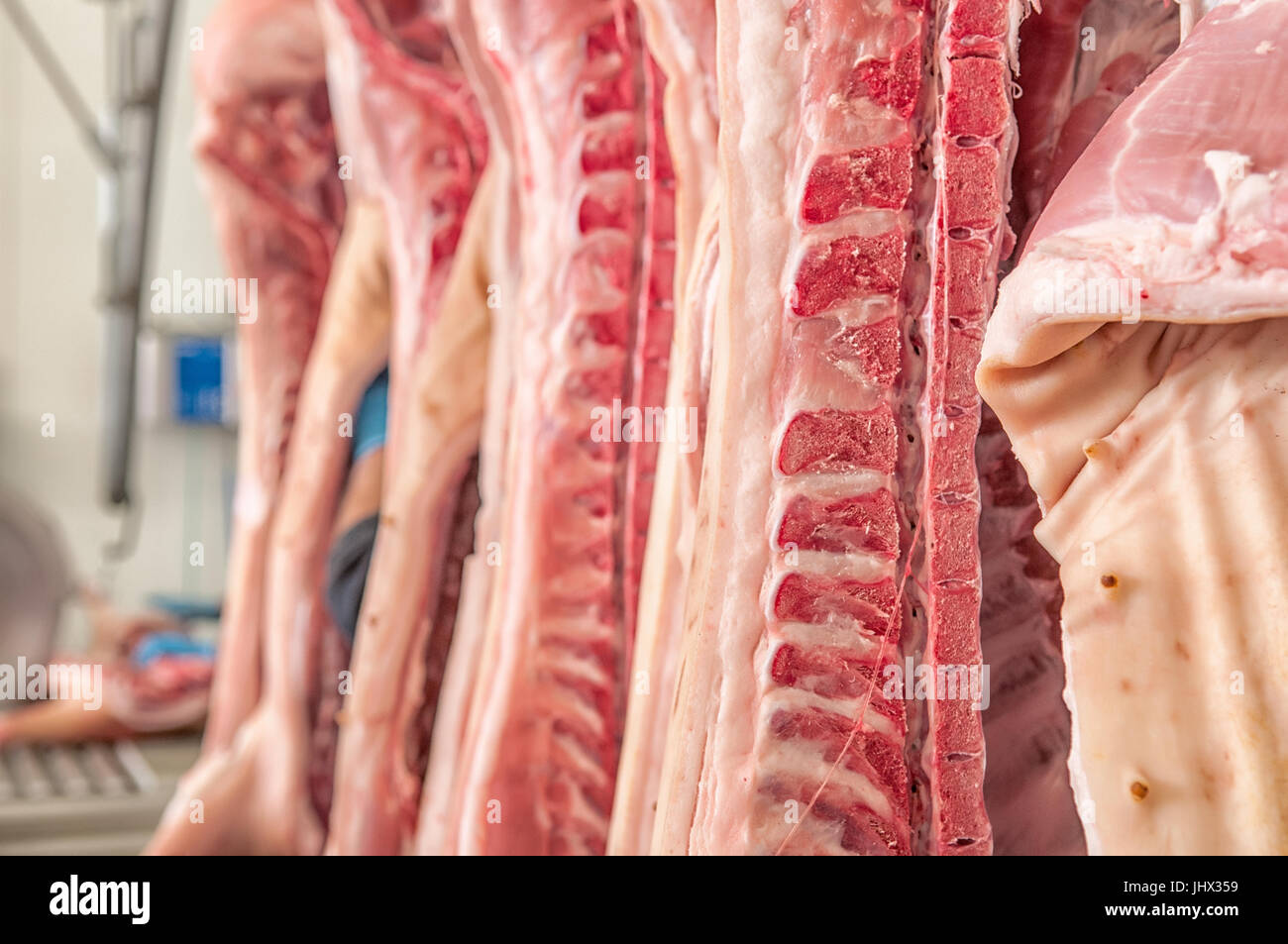 Frisches Fleisch Schweine in einer Fabrik Aufschnitt Stockfoto