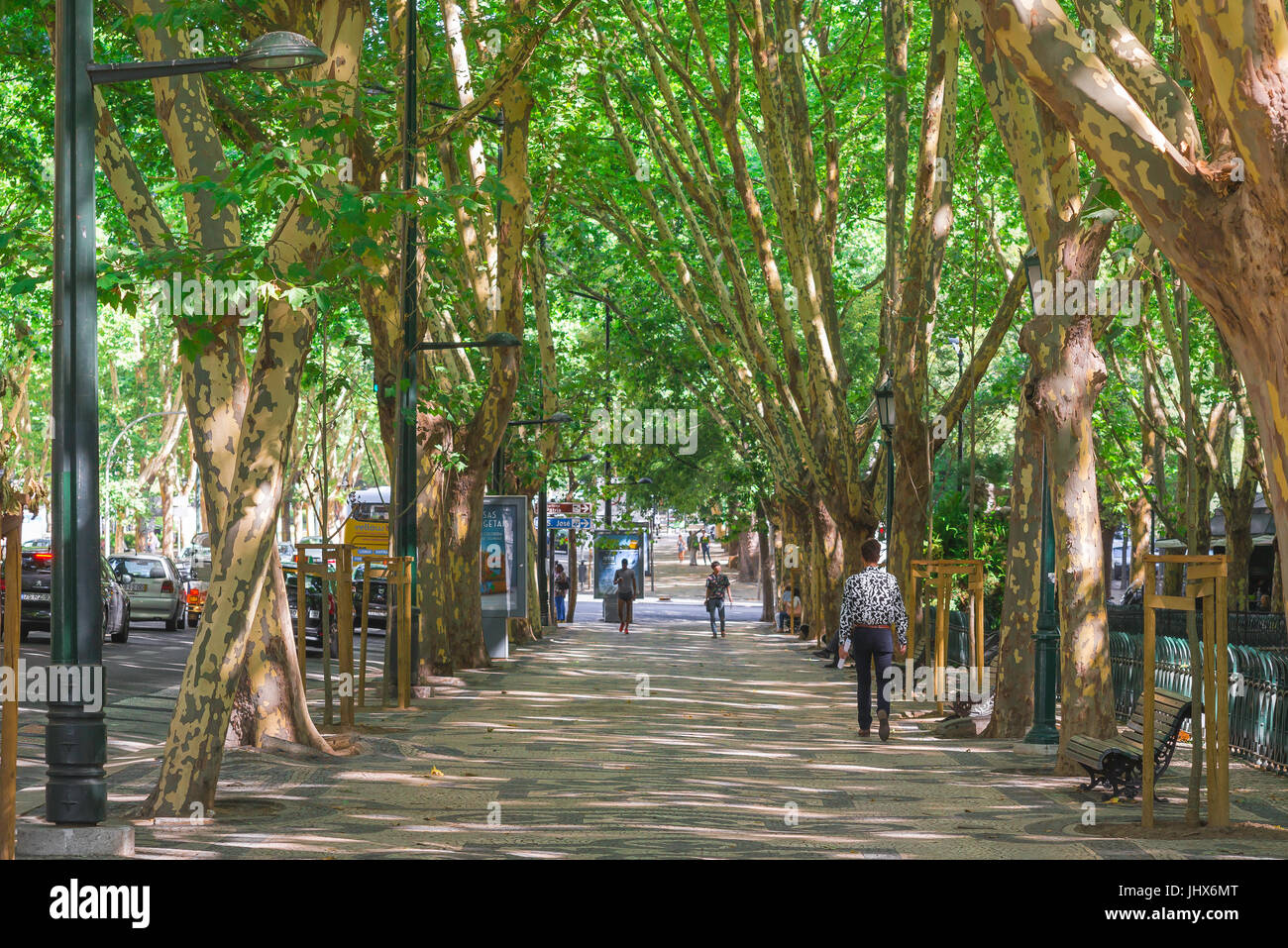 Lissabon Avenida da Liberdade, Blick auf den berühmten baumgesäumten Boulevard, der zum Zentrum des historischen Viertels von Lissabon, Portugal, führt. Stockfoto