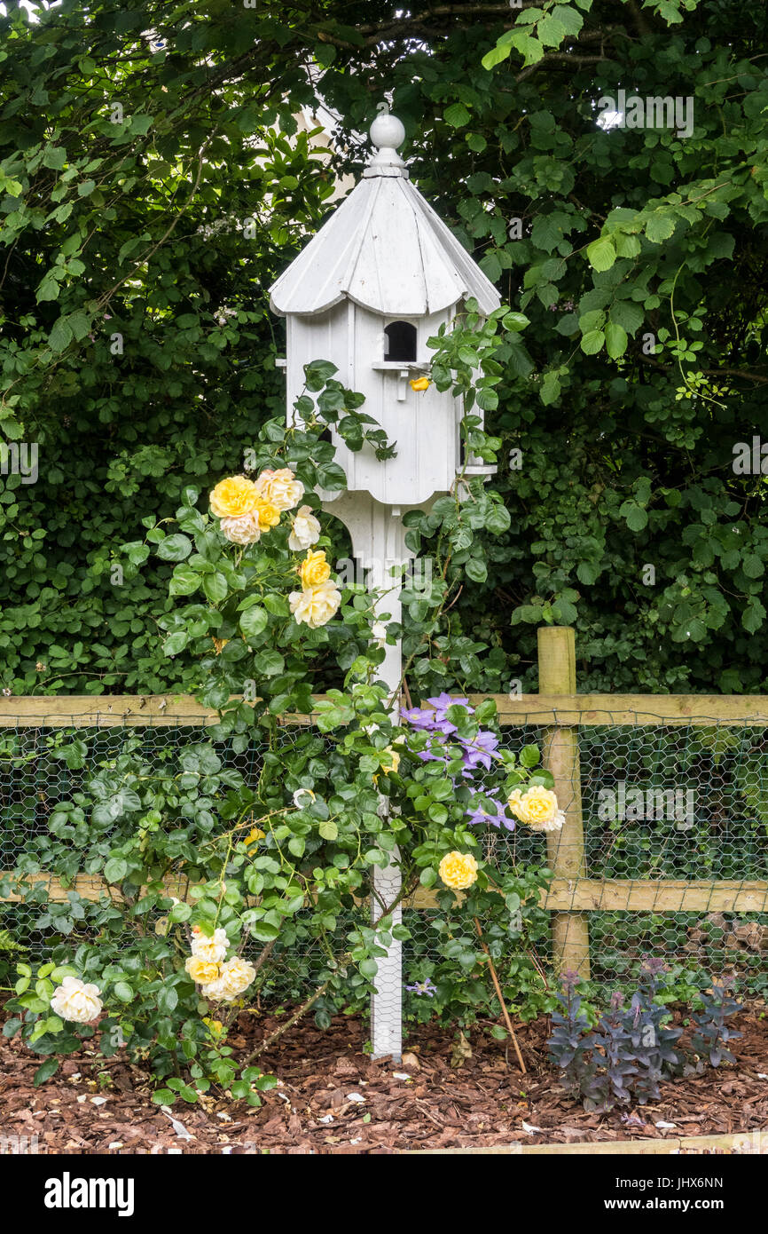 Eine ornamentale Garten Taubenschlag in gelben Rosen und Clematis bedeckt. Stockfoto