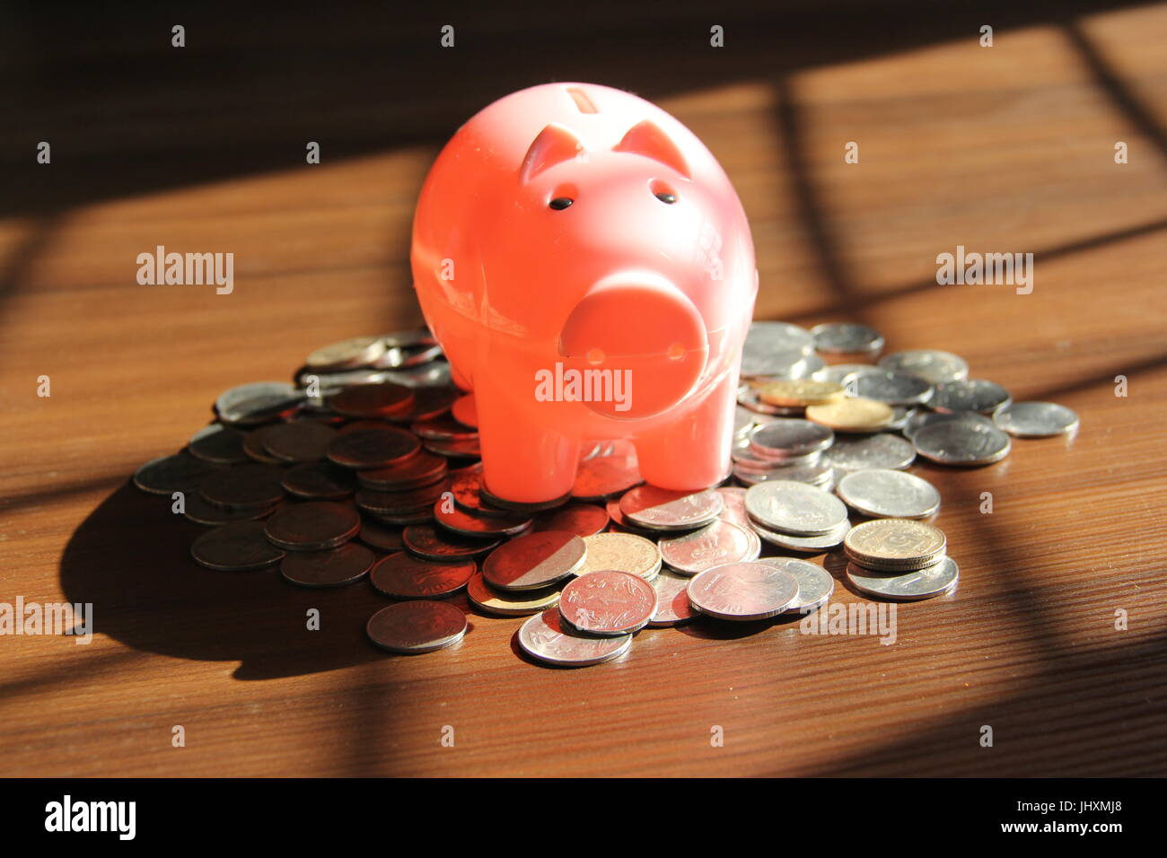 Rosa gefärbt Sparschwein mit indischen Rupien Münzen, Finanzkonzept Stockfoto