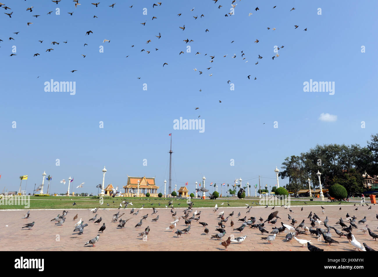 Tauben und Tauben sind vor dem Königspalast in Phnom Penh, Kambodscha gesehen. Stockfoto