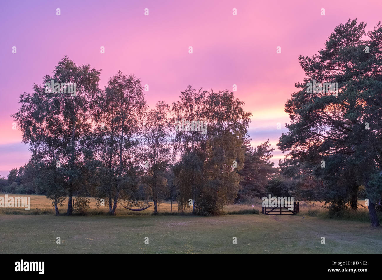 Sommerabend in der schwedischen Landschaft auf der Ostsee-Insel Öland Stockfoto