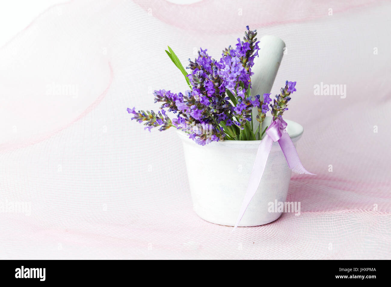 Lavendel Blumen in einem weißen Mörser mit rosa Hintergrund Stockfoto