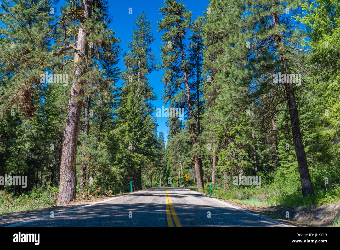 Ein Blick auf die Ponderosa Pines Scenic Byway, Idaho Stockfotografie