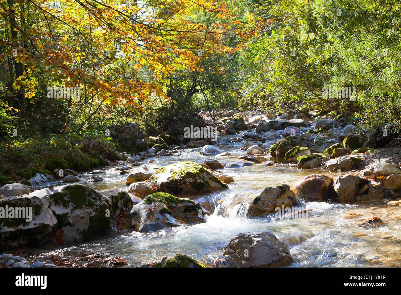 Herbstliche Bauch laufen in der Nähe von St. Gallen, Buchauer-Sattel, Steiermark, Österreich - Gebirgsbach im Herbst in der Nähe von St. Gallen, Österreich, Steiermark, Buchauer Sattel, Kräuter Stockfoto