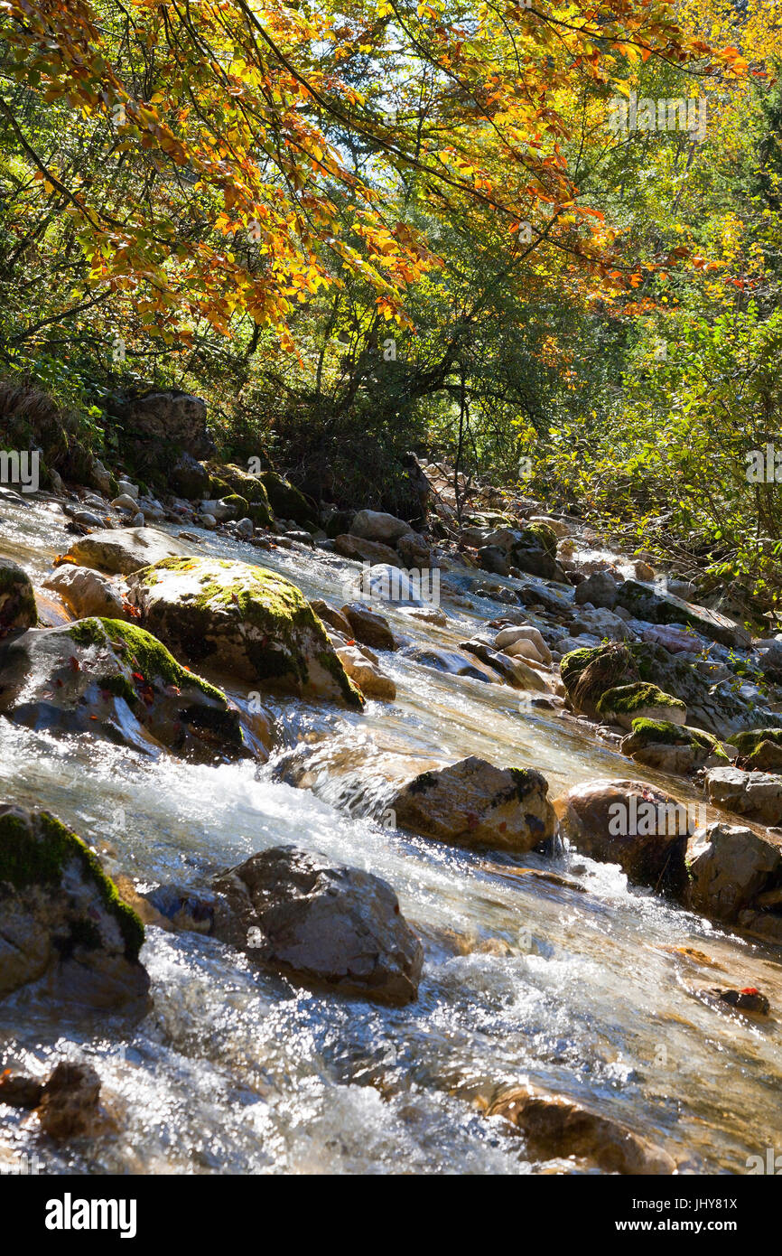 Herbstliche Bauch laufen in der Nähe von St. Gallen, Buchauer-Sattel, Steiermark, Österreich - Gebirgsbach im Herbst in der Nähe von St. Gallen, Österreich, Steiermark, Buchauer Sattel, Kräuter Stockfoto