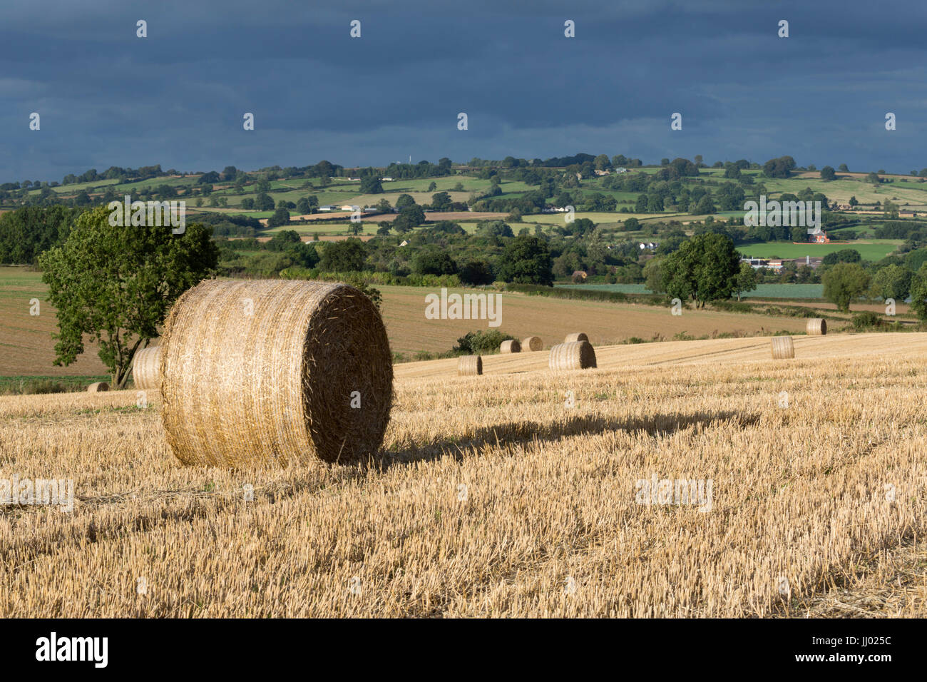 Runde Heuballen im Stoppelfeld, Chipping Campden, Cotswolds, Gloucestershire, England, Vereinigtes Königreich, Europa Stockfoto