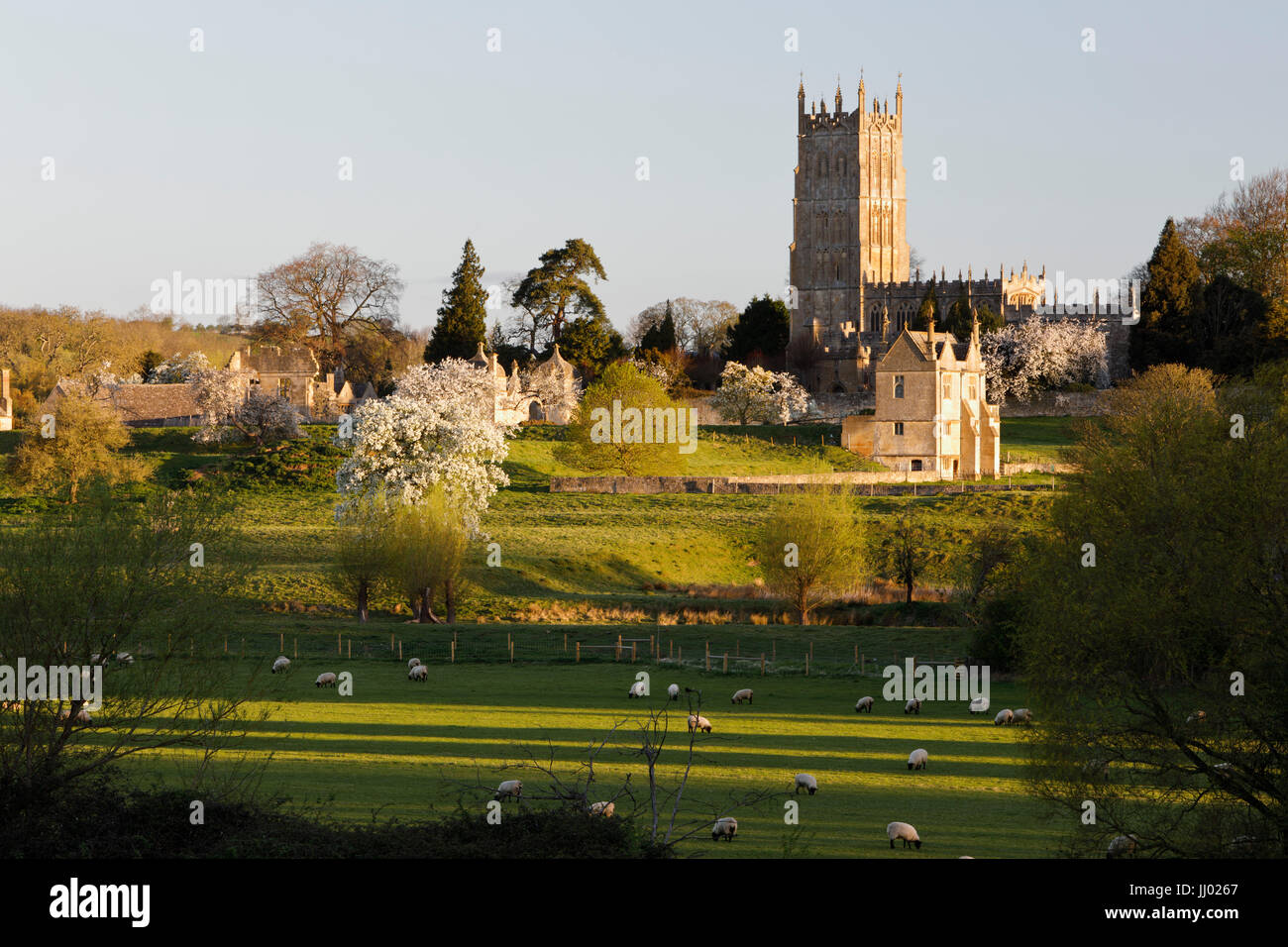 St James Church und weiden Schafe, Chipping Campden, Cotswolds, Gloucestershire, England, Vereinigtes Königreich, Europa Stockfoto